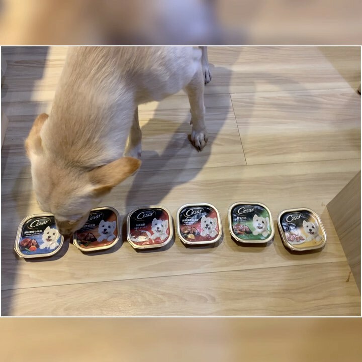 週末炸雞俱樂部 ｜外脆內嫩又多汁的香料雞翅。台北美食 - 丹尼的吃喝玩樂