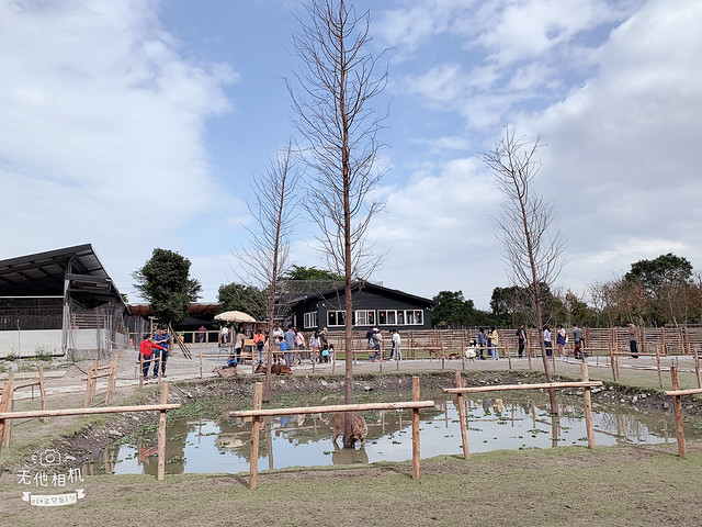 宜蘭斑比山丘｜2020宜蘭最熱門景點｜來找小鹿斑比｜餵鹿不用去奈良｜線上預約免排隊