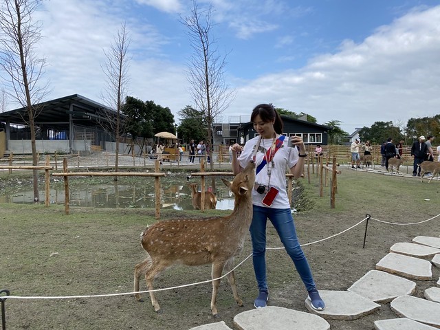 宜蘭斑比山丘｜2020宜蘭最熱門景點｜來找小鹿斑比｜餵鹿不用去奈良｜線上預約免排隊