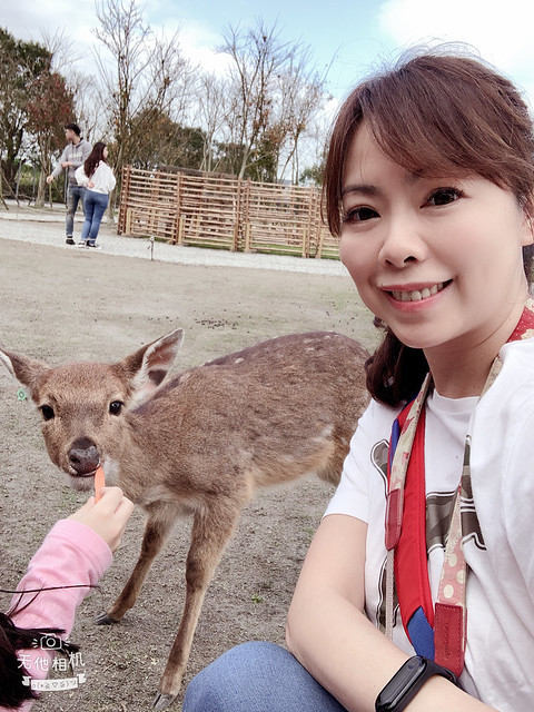 宜蘭斑比山丘｜2020宜蘭最熱門景點｜來找小鹿斑比｜餵鹿不用去奈良｜線上預約免排隊