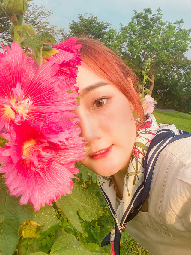 台北蜀葵之森。春日賞花趣|6000朵蜀葵花河濱公園爛漫綻放