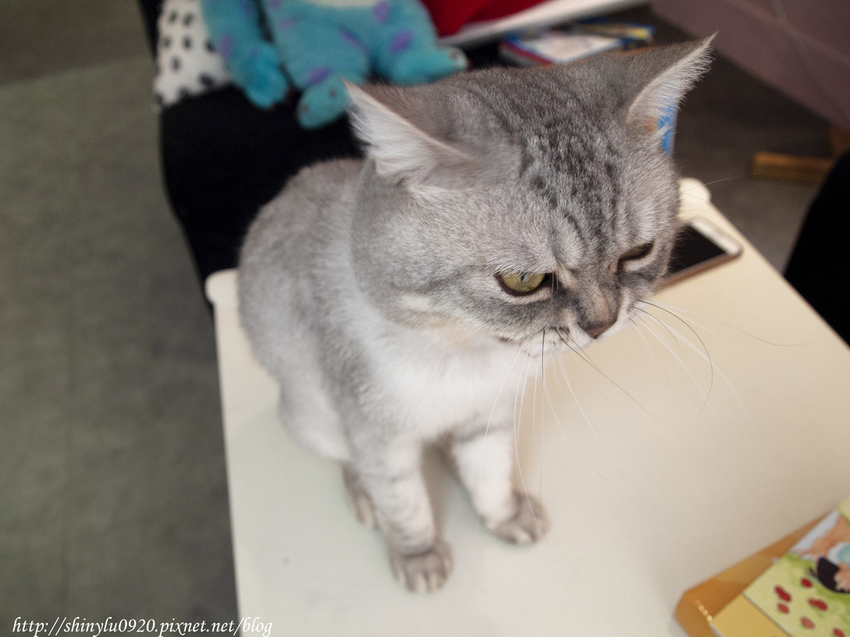 Ice Honey-帕米亞親子空間27.jpg