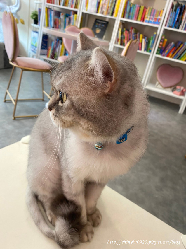 Ice Honey-帕米亞親子空間5.jpg