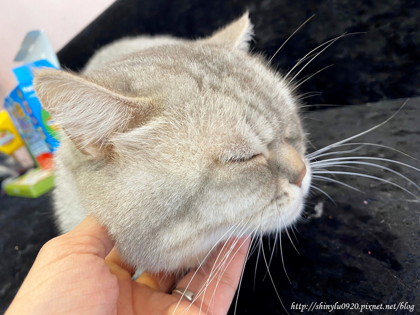 Ice Honey-帕米亞親子空間28.jpg