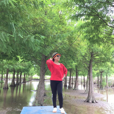 蘆竹落羽松秘境就在[双源魚菜蚯共生農場]旁，水中倒影美不勝收