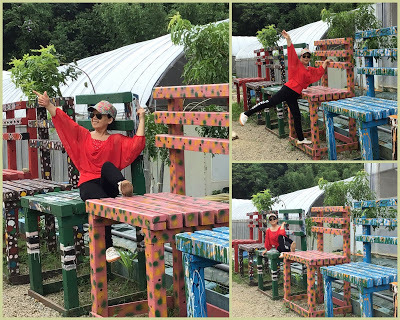 蘆竹落羽松秘境就在[双源魚菜蚯共生農場]旁，水中倒影美不勝收