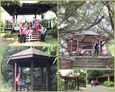 善妹好友團暢遊[鶯歌山] 為善最樂