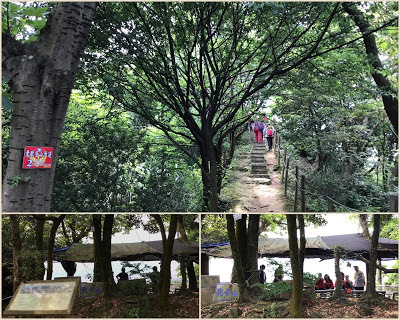 善妹好友團暢遊[鶯歌山] 為善最樂