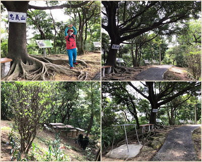 善妹好友團暢遊[鶯歌山] 為善最樂