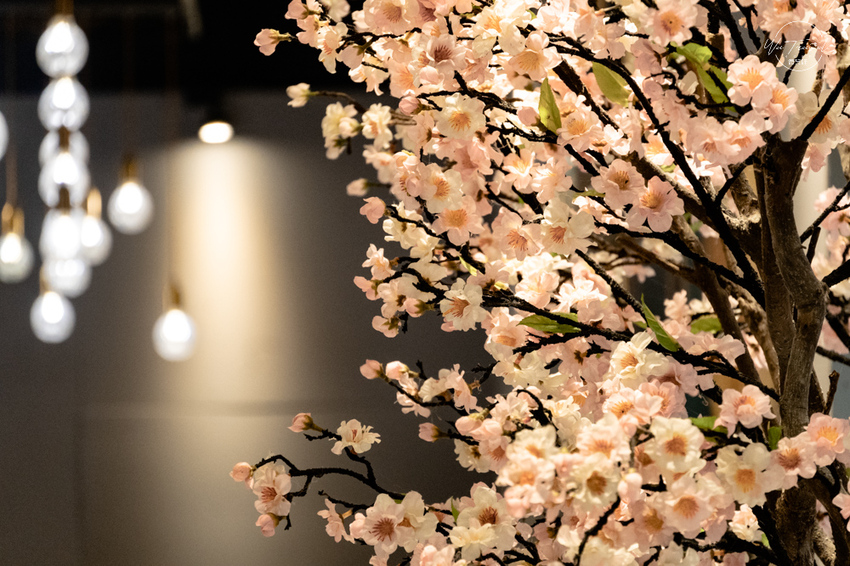 林口火鍋御鼎湯原本鍋物，奢華夢幻公主宮廷風平價的火鍋店！網美打卡景點餐廳 - 微笑娃生活旅行