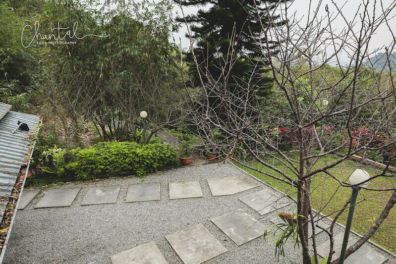 1J6A3296-2 拷貝 1J6A3296-2 拷貝