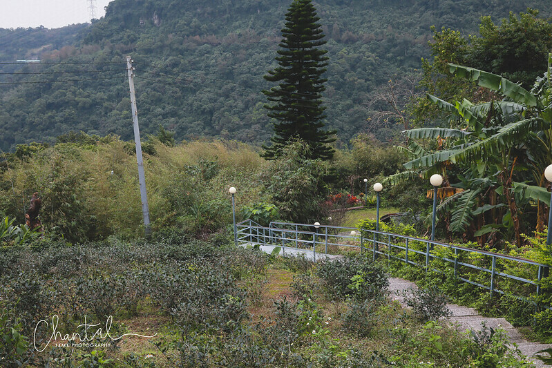 1J6A3259-2 拷貝 1J6A3259-2 拷貝