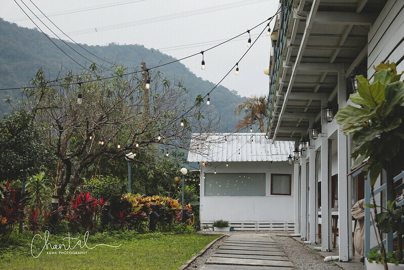 1J6A3329-2 拷貝 1J6A3329-2 拷貝