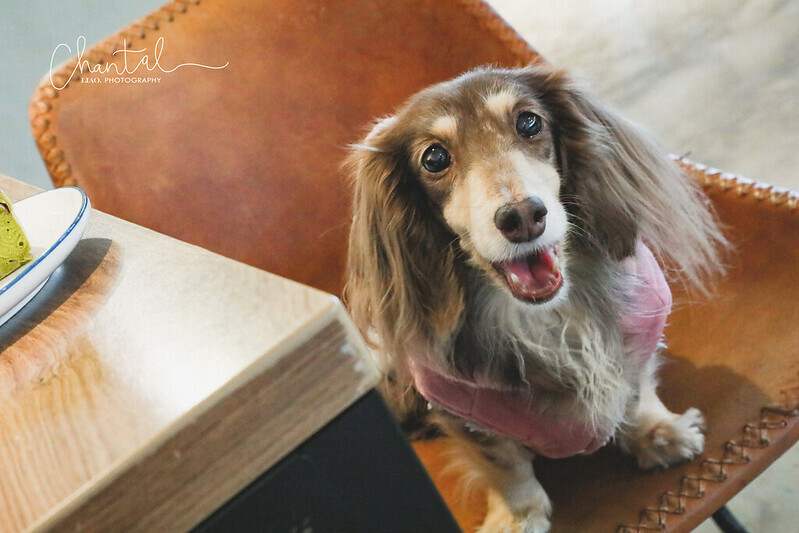 1J6A3478-2 拷貝 1J6A3478-2 拷貝