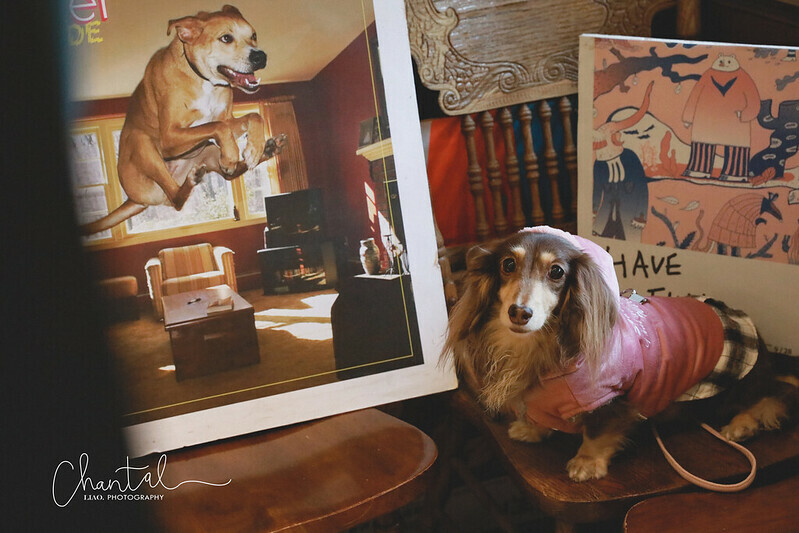 1J6A3370-2 拷貝 1J6A3370-2 拷貝