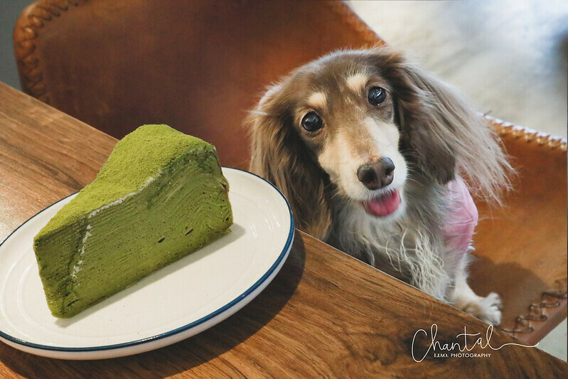 1J6A3461-2 拷貝 2 1J6A3461-2 拷貝 2