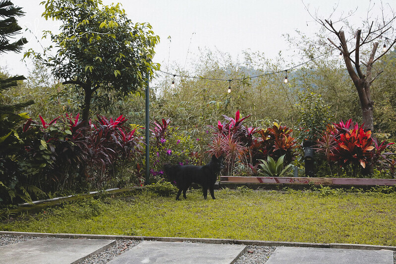 1J6A3574-2 拷貝 1J6A3574-2 拷貝