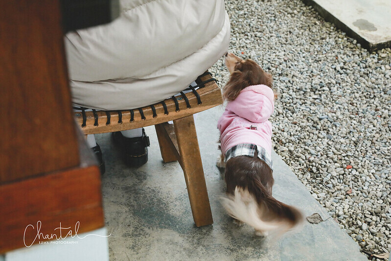 1J6A3571-2 拷貝 1J6A3571-2 拷貝