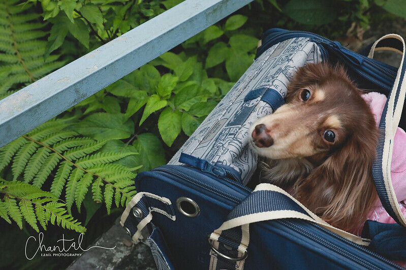 1J6A3577-2 拷貝 1J6A3577-2 拷貝