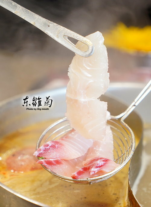 【台北火鍋】東雛菊風味鍋物.特色湯頭+優質肉品,好拍又好吃! - SayDigi | 點子生活