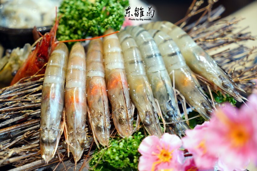 【台北火鍋】東雛菊風味鍋物.特色湯頭+優質肉品,好拍又好吃! - SayDigi | 點子生活