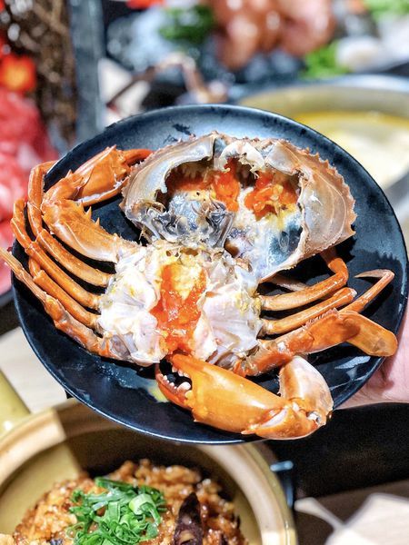 相片 2020-2-9 下午2 55 24