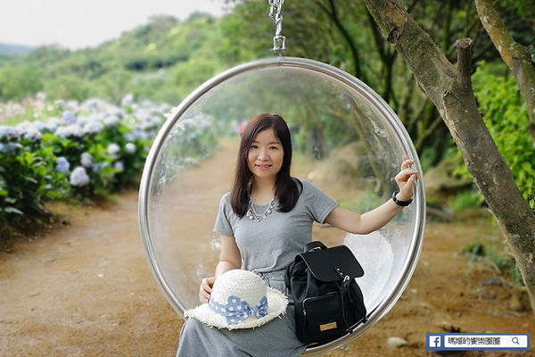 2020繡球花季【高家繡球花第三園區】萬里繡球花田/藍白繡球花田/網紅婚紗拍照景點