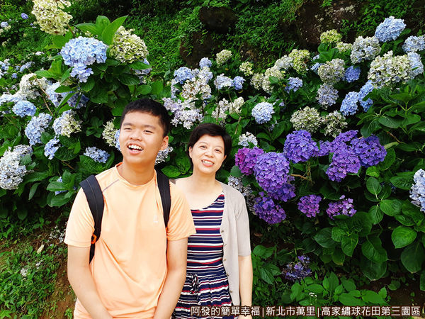 高家繡球花田第三園區24-留影.jpg