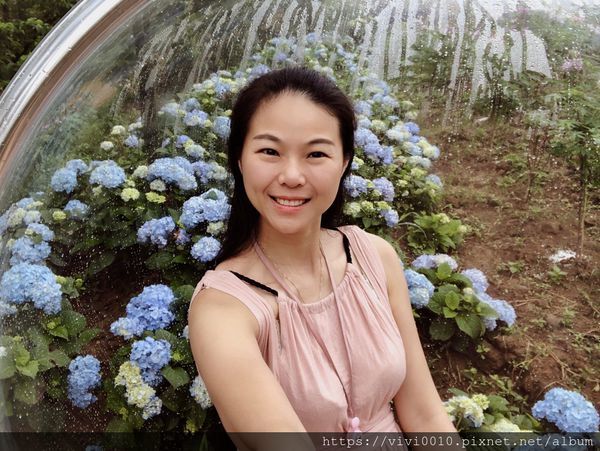 高家繡球花_200511_0030.jpg