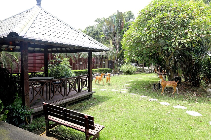 都市叢林浪漫綠意花園!好吃又好拍夢幻景觀餐廳|托斯卡尼尼義大利庭園餐廳(桃園中正藝文特區)