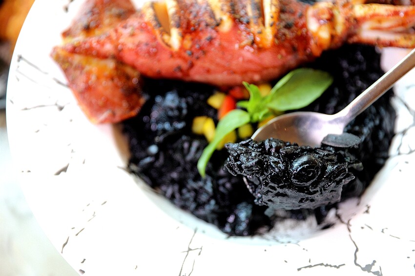 都市叢林浪漫綠意花園!好吃又好拍夢幻景觀餐廳|托斯卡尼尼義大利庭園餐廳(桃園中正藝文特區)