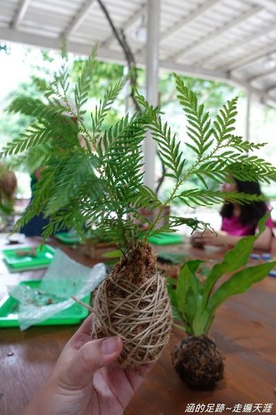 DSC04551.jpg DSC04551.jpg