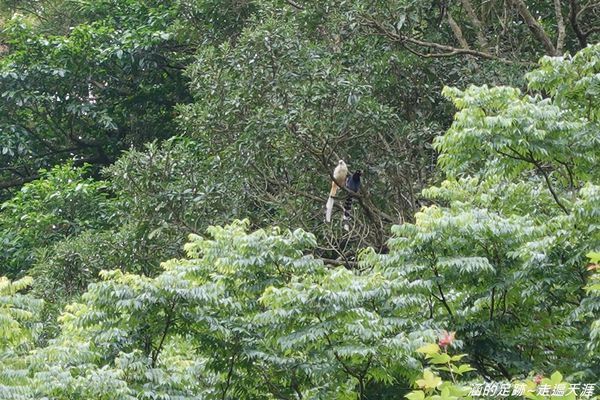 DSC04594.jpg DSC04594.jpg