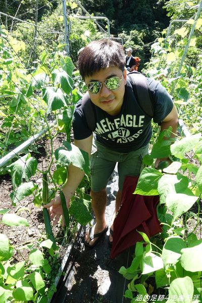 DSC04384.jpg DSC04384.jpg