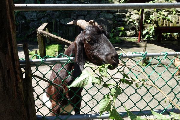 DSC04303.jpg DSC04303.jpg