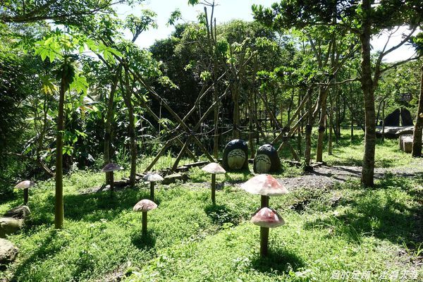 DSC04259.jpg DSC04259.jpg