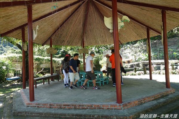 DSC04334.jpg DSC04334.jpg