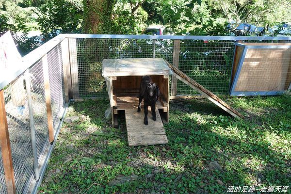 DSC04793.jpg DSC04793.jpg