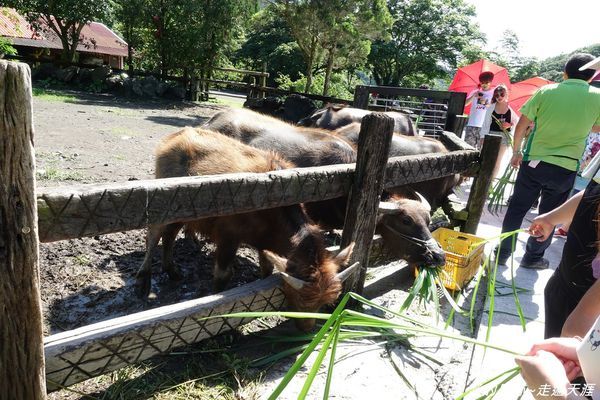 DSC04231.jpg DSC04231.jpg