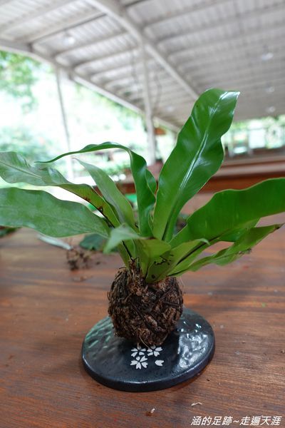 Photo_003.jpg Photo_003.jpg