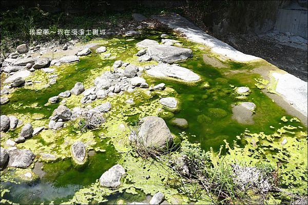 溪邊土雞城05.jpg
