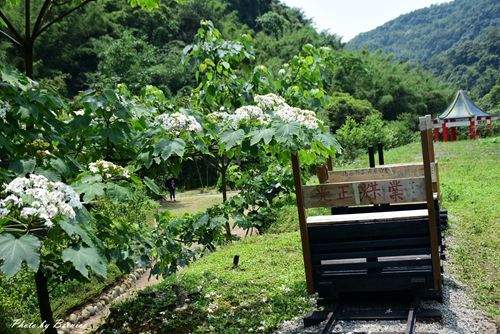 0501 2-焦碳窯07.jpg