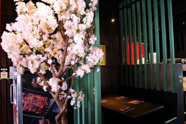 P1950672.JPG P1950672.JPG