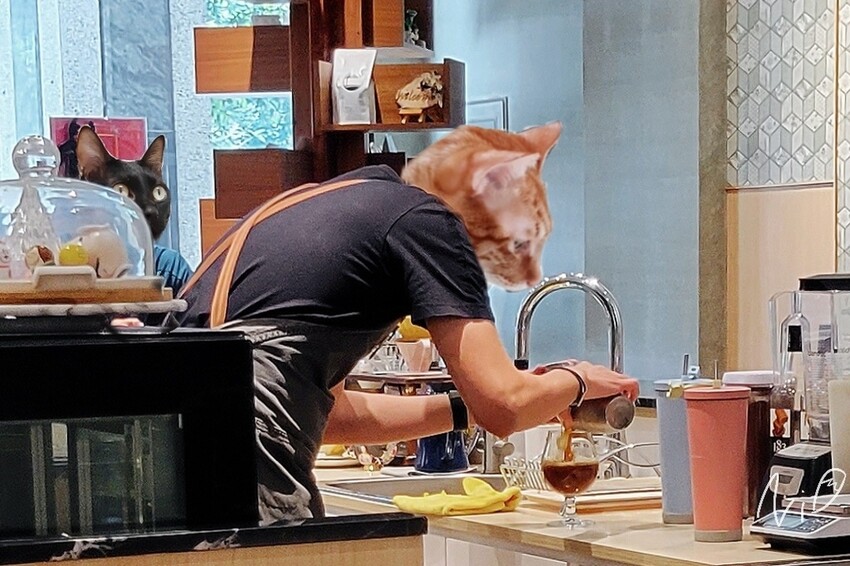 20220226 tsang cafe bar 吾䅮咖啡