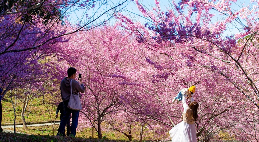 台中日光溫泉會館》房內美人湯池,湯湯屋大眾泡湯池、兒童遊戲室、陽光花園夜晚變星空夜吧