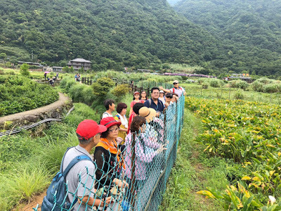 中壢社大週四趴趴走-陽明山竹子湖、水車寮步道、繡球花季