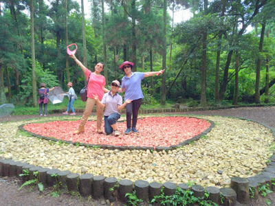 中壢社大週四趴趴走-陽明山竹子湖、水車寮步道、繡球花季