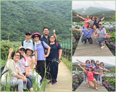 中壢社大週四趴趴走-陽明山竹子湖、水車寮步道、繡球花季