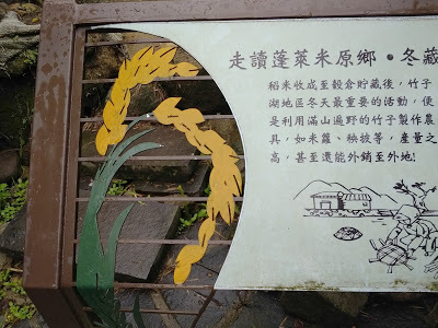 中壢社大週四趴趴走-陽明山竹子湖、水車寮步道、繡球花季