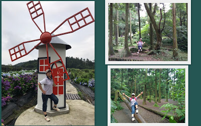 中壢社大週四趴趴走-陽明山竹子湖、水車寮步道、繡球花季